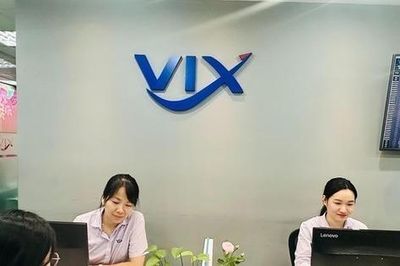 Lỗ tự doanh tăng đột biến, lợi nhuận quý II của Chứng khoán VIX (VIX) giảm hơn 93%