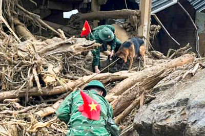 Huy động thêm chó nghiệp vụ đến tâm lũ Lai Châu tìm người mất tích