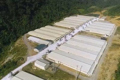 Tai nạn tại trang trại lợn ở Thanh Hóa: Thêm 2 người không qua khỏi