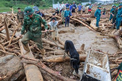 'Chiến binh 4 chân' từng tìm kiếm người ở Làng Nủ, nay vào Mường Than cứu nạn