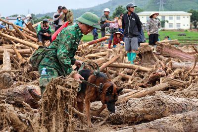 'Chiến binh 4 chân' từng tìm kiếm người ở Làng Nủ, nay vào Mường Than cứu nạn