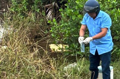 Nguyên nhân cá chết bất thường trên các sông ở Quảng Trị