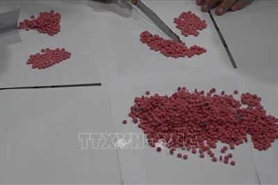 Bắt quả tang vụ vận chuyển 3.200 viên ma túy qua biên giới Nghệ An
