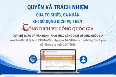 Quyền và trách nhiệm của tổ chức, cá nhân khi sử dụng dịch vụ trên Cổng Dịch vụ công quốc gia