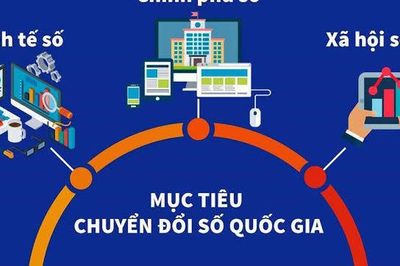 Đến năm 2045, Việt Nam thuộc nhóm 30 nước dẫn đầu thế giới về chính phủ điện tử/chính phủ số