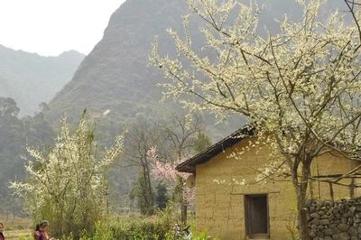 Di sản tạo dựng thương hiệu địa phương