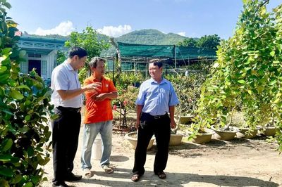 Long Hải khảo sát phát triển du lịch trải nghiệm vườn cây ăn trái