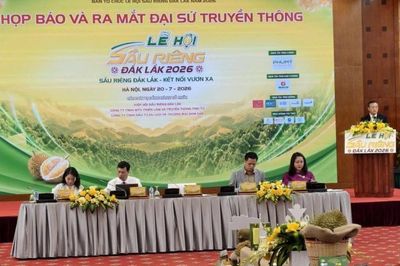 Lễ hội sầu riêng Đắk Lắk năm 2026: 17 hoạt động, dự kiến thu hút 300.000 lượt du khách