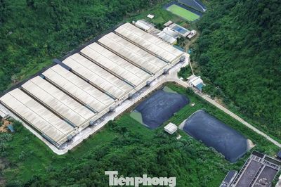 Thanh Hóa tổng kiểm tra cơ sở chăn nuôi sau vụ tai nạn trong trại lợn làm 5 người chết