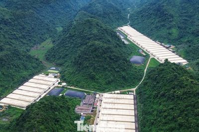 Vụ tai nạn trong trại lợn làm 5 người chết: Doanh nghiệp từng bị xử phạt về môi trường