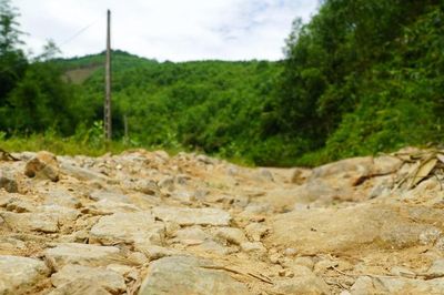 Quảng Ngãi khắc phục tuyến đường xuống cấp, mở cơ hội phát triển vùng cao