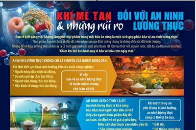 Khí mê tan ảnh hưởng như thế nào tới an ninh lượng thực?