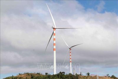 Gia Lai chấp thuận đầu tư nhà máy điện gió gần 1.500 tỷ đồng