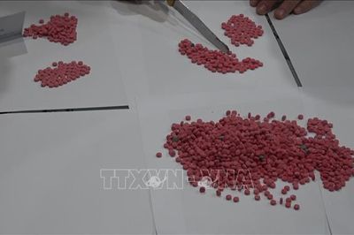 Bắt quả tang vụ vận chuyển 3.200 viên ma túy qua biên giới Nghệ An