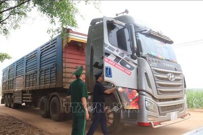 Xây dựng cửa khẩu số, tạo động lực phát triển kinh tế biên mậu
