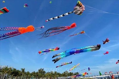 Lần đầu trình diễn 500 cánh diều phát sáng, tạo hiệu ứng trên bầu trời đêm Đà Nẵng