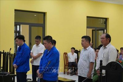 Lĩnh án tù vì nhận tiền đăng ký, đăng kiểm tàu cá trái phép
