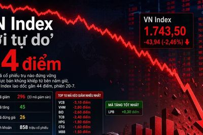 VN Index 'rơi tự do' 44 điểm