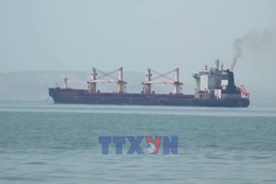 Mỹ trấn an thị trường dầu mỏ khi căng thẳng với Iran gia tăng