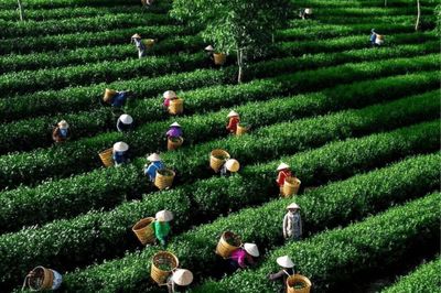 Những công trình mở lối cho Lâm Đồng - Bài cuối: Một hành trình - Ba không gian, đưa Lâm Đồng thành điểm đến hàng đầu