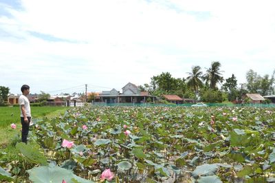 Ổn định hoạt động sau sáp nhập thôn