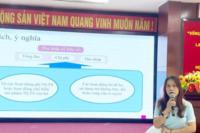 Tập huấn nghiệp vụ điều tra thu nhập bình quân đầu người cấp xã giai đoạn 2026 - 2030