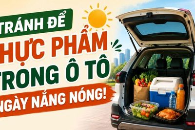 Infographic Tránh để thực phẩm trong ô tô ngày nắng nóng