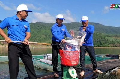 Thanh niên Vĩnh Thạnh làm giàu từ cá diêu hồng trên hồ Định Bình