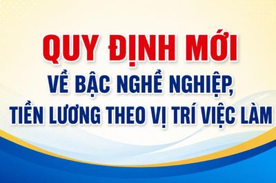 [Infographic] Quy định mới về bậc nghề nghiệp, tiền lương theo vị trí việc làm