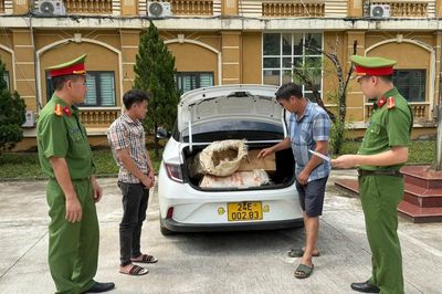 Công an xã Văn Bàn phát hiện xe ô tô chuyển gỗ pơ mu trái phép