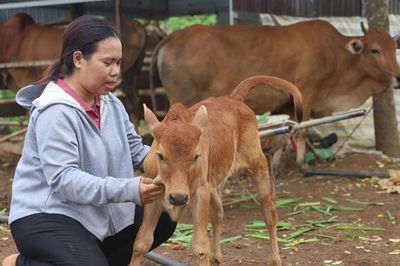 Nguồn vốn tiếp sức đồng bào DTTS phát triển sinh kế