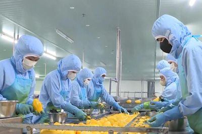 Nghị quyết 10 mở lối để doanh nghiệp Lâm Đồng tham gia sâu chuỗi FDI