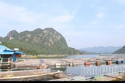 Tân Mai nỗ lực giảm nghèo