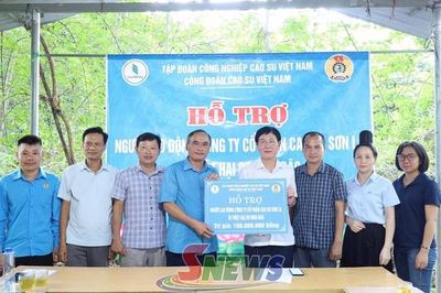 Hỗ trợ Công ty Cổ phần Cao su Sơn La khắc phục hậu quả mưa lũ