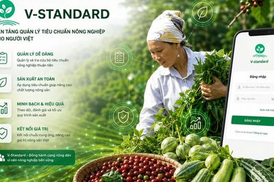 Ra mắt nền tảng V-Standard: Số hóa chứng nhận, truy xuất nguồn gốc nông sản