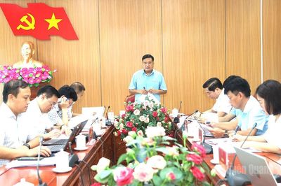 Giám sát việc chấp hành pháp luật về quản lý, sử dụng đất và giao đất, cho thuê đất tại các địa phương