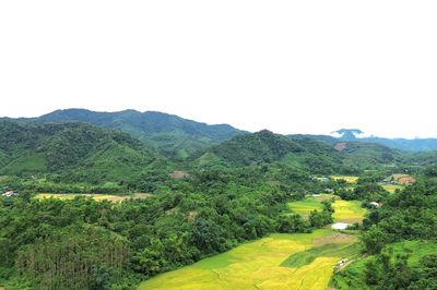 Sinh kế bền vững dưới tán rừng