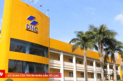 Sai phạm nối tiếp sai phạm, DND tiếp tục bị xử phạt vi phạm chứng khoán