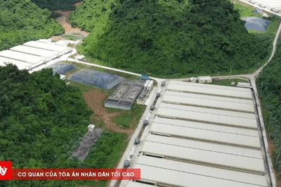 Công ty Dabaco Thanh Hóa: Từ vi phạm môi trường đến tai nạn lao động nghiêm trọng