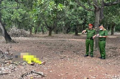 Án mạng trong vườn điều ở Đồng Nai