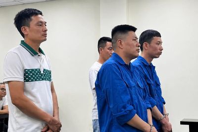 Chủ hiệu cầm đồ và nhóm lừa đảo vay tiền tỷ cùng lĩnh án
