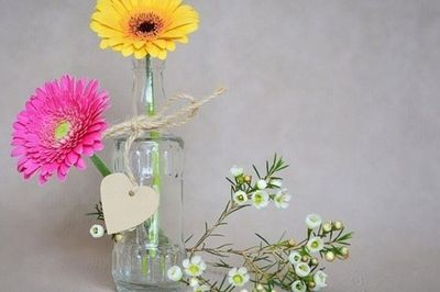 Nhà nghèo đến đâu cũng nên có một chậu hoa này: Giúp gia chủ hút tài lộc, vượng khí đổi vận