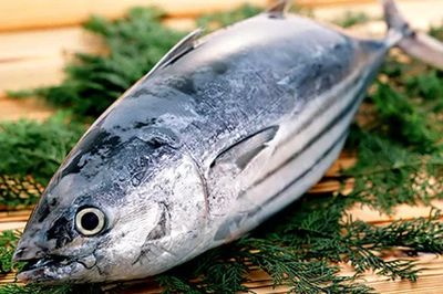 Không phải ai cũng nên ăn cá biển: 6 nhóm người cần đặc biệt lưu ý