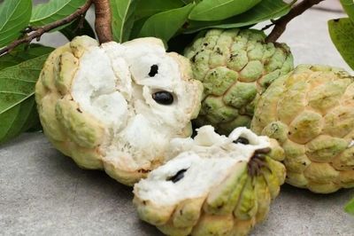 Đi chợ mua na chỉ cần nhìn điểm này là biết quả chín cây, ngọt lịm, bà nội trợ không nên bỏ qua