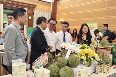 Lễ hội Sầu riêng Đắk Lắk 2026: Quảng bá thương hiệu, kết nối thị trường, thúc đẩy du lịch