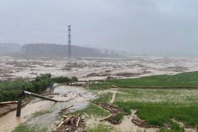 Lai Châu khẩn cấp xây dựng khu tái định cư cho người dân Mường Than bị lũ cuốn trôi nhà