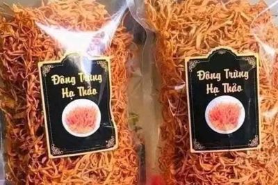Đông trùng hạ thảo sấy khô rẻ như rau, công dụng thế nào?