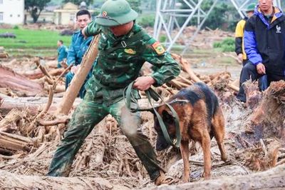Thi thể một nạn nhân lũ quét ở Lai Châu được tìm thấy cách hiện trường gần 20 km