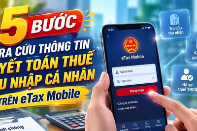 5 bước tra cứu thông tin quyết toán thuế thu nhập cá nhân trên eTax Mobile