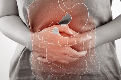 Vạch trần thủ phạm giấu mặt gây chứng viêm ruột mãn tính nhờ 'ruột nhân tạo' từ chip